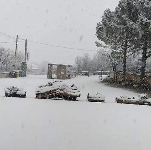 Grazia Ristorante LʼAquila